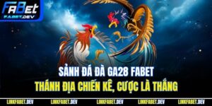 Sảnh Đá Đà GA28 FaBet – Thánh Địa Chiến Kê, Cược Là Thắng