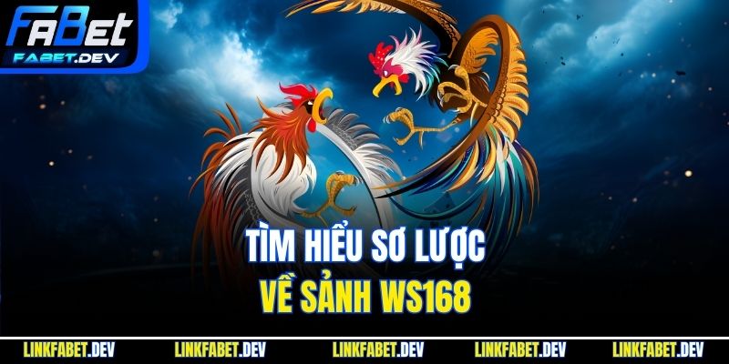 Tìm hiểu sơ lược về sảnh WS168